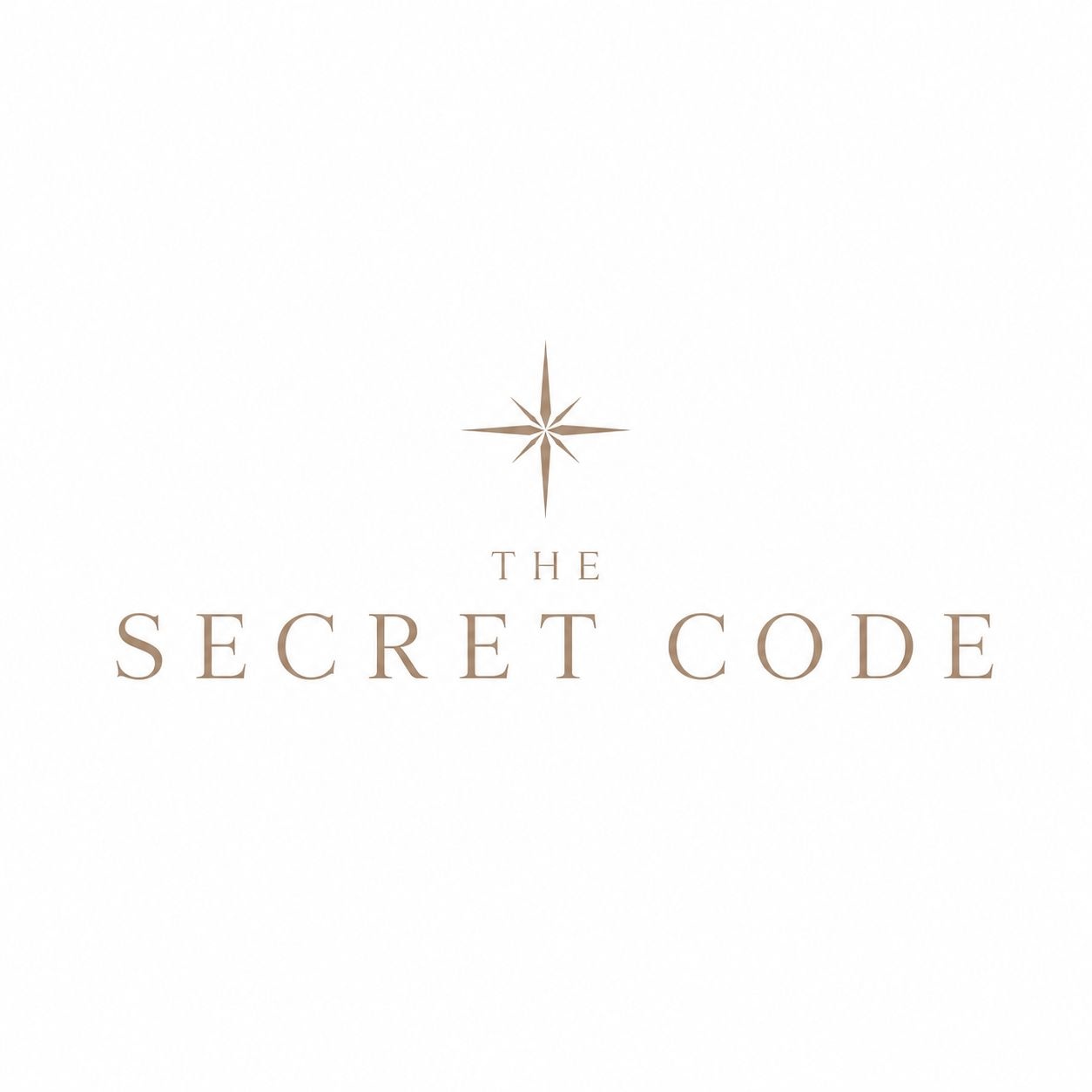 The Secret Code logo